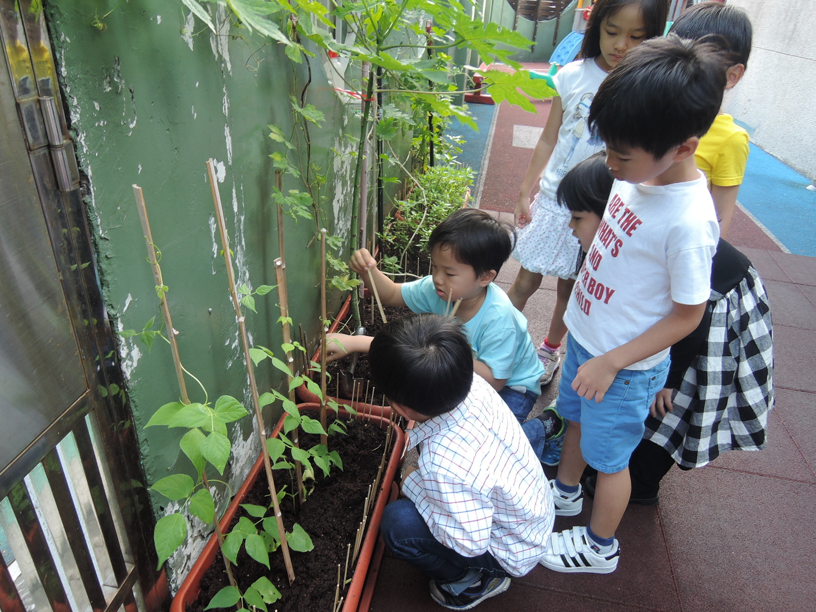 為什麼一定要上幼兒園?新手爸媽的教戰守則!