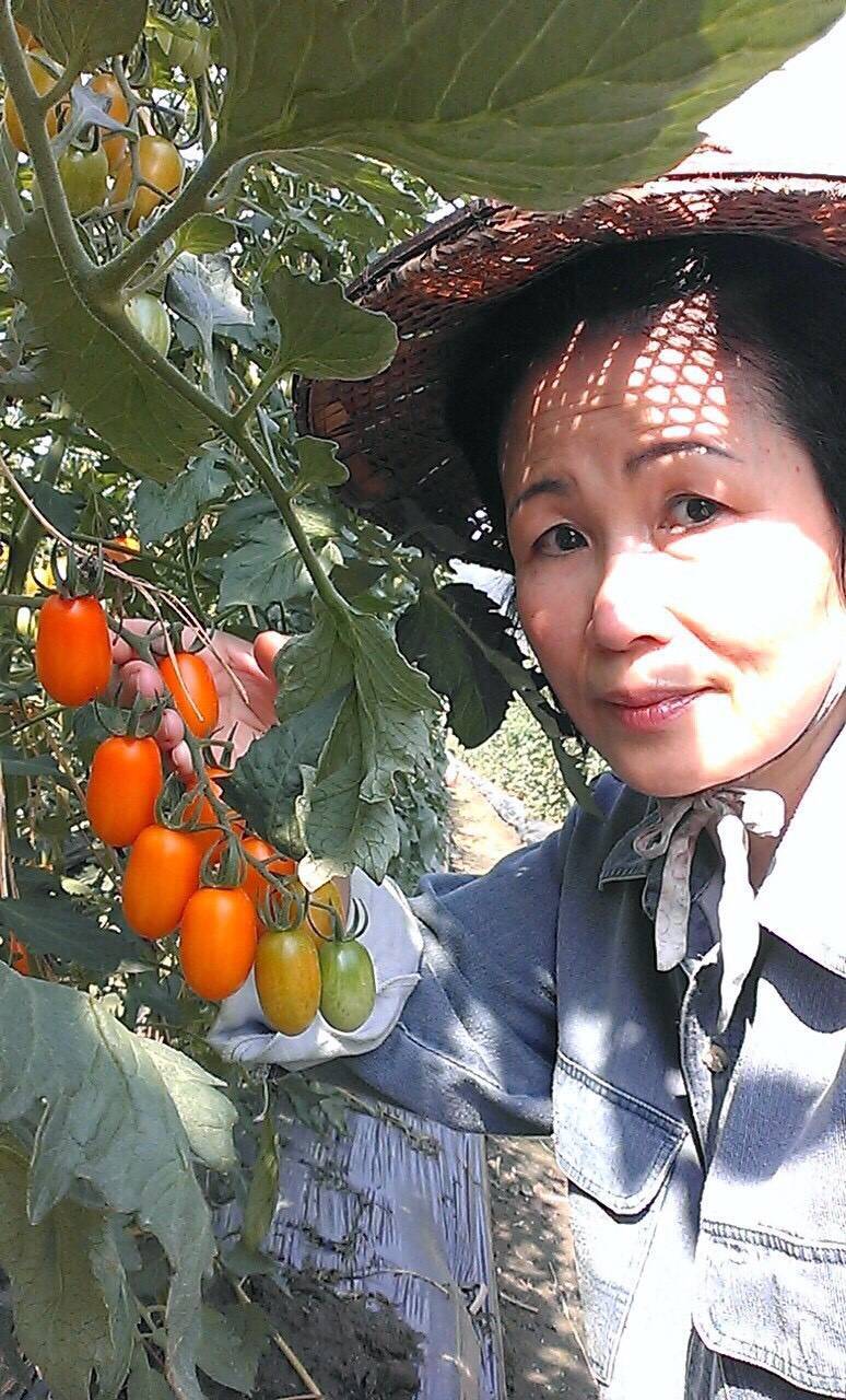 回甘人生婚姻路_惠美的故事 (下 )