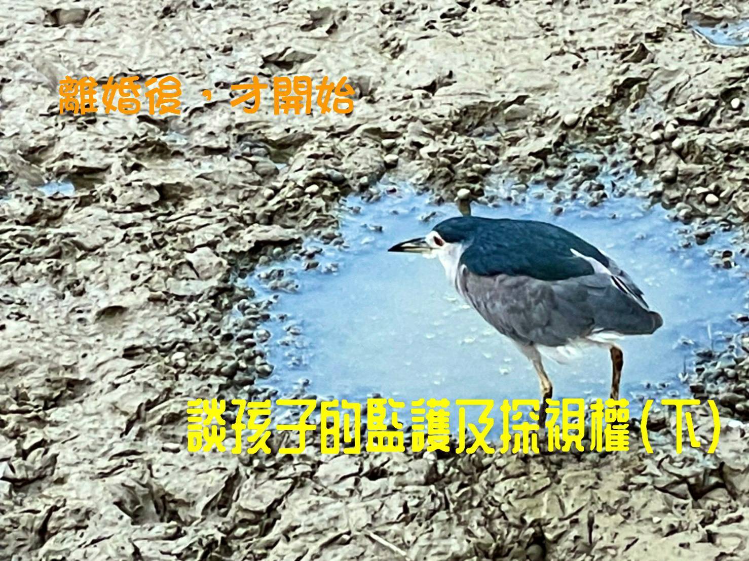 離婚後 才開始﹣談孩子的監護權及探視權﹣下