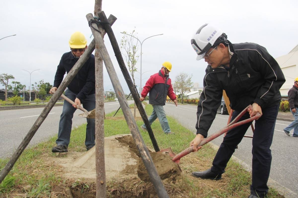 臺東今年將種40萬棵樹