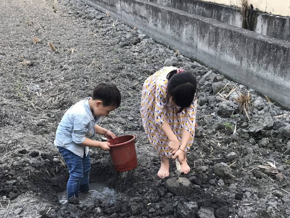 露營赤腳享受泥土芬芳 當心鉤蟲入侵