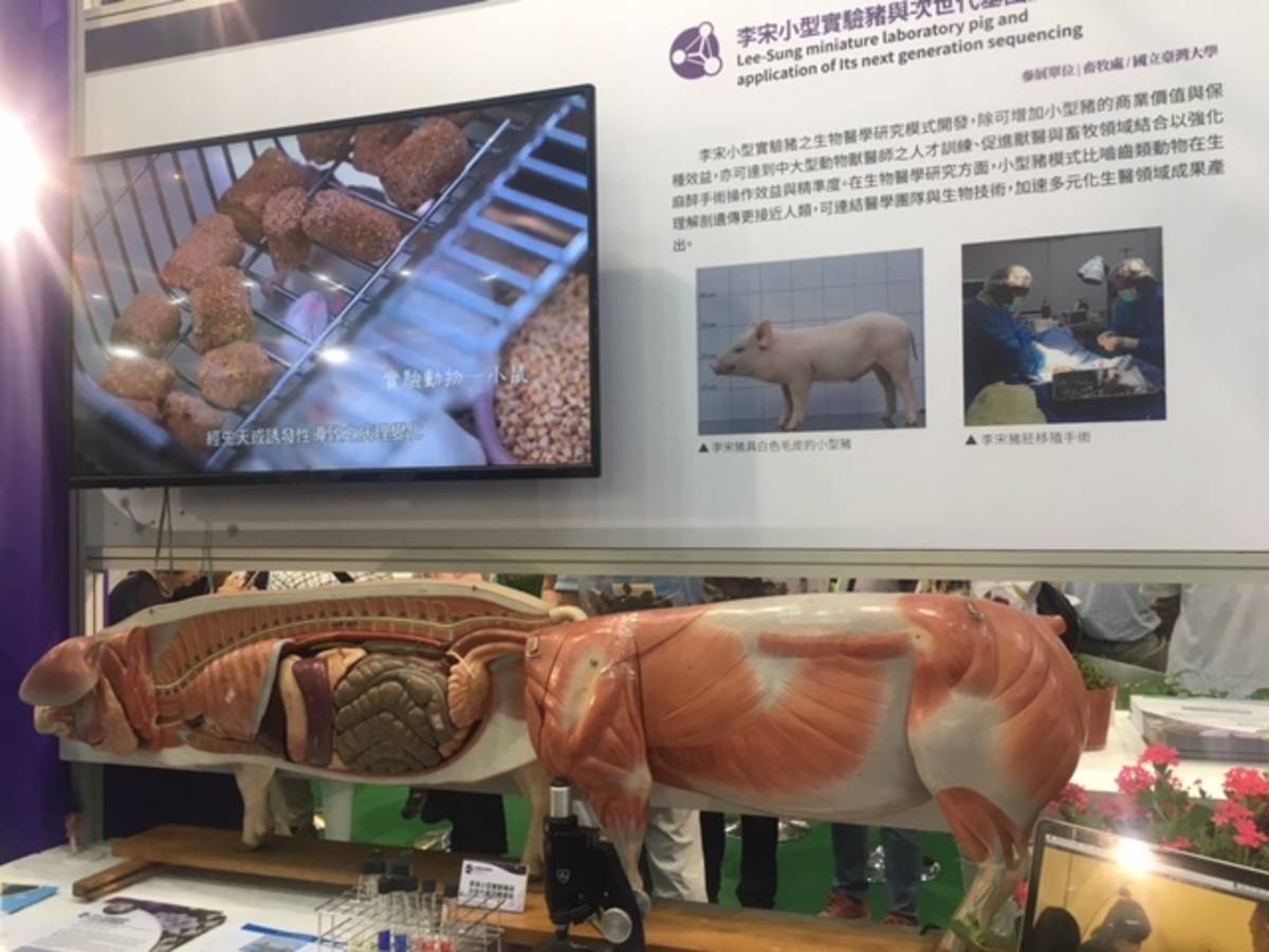 農科院生醫級豬皮與豬骨平台 帶動農業資材與醫美產業新價值