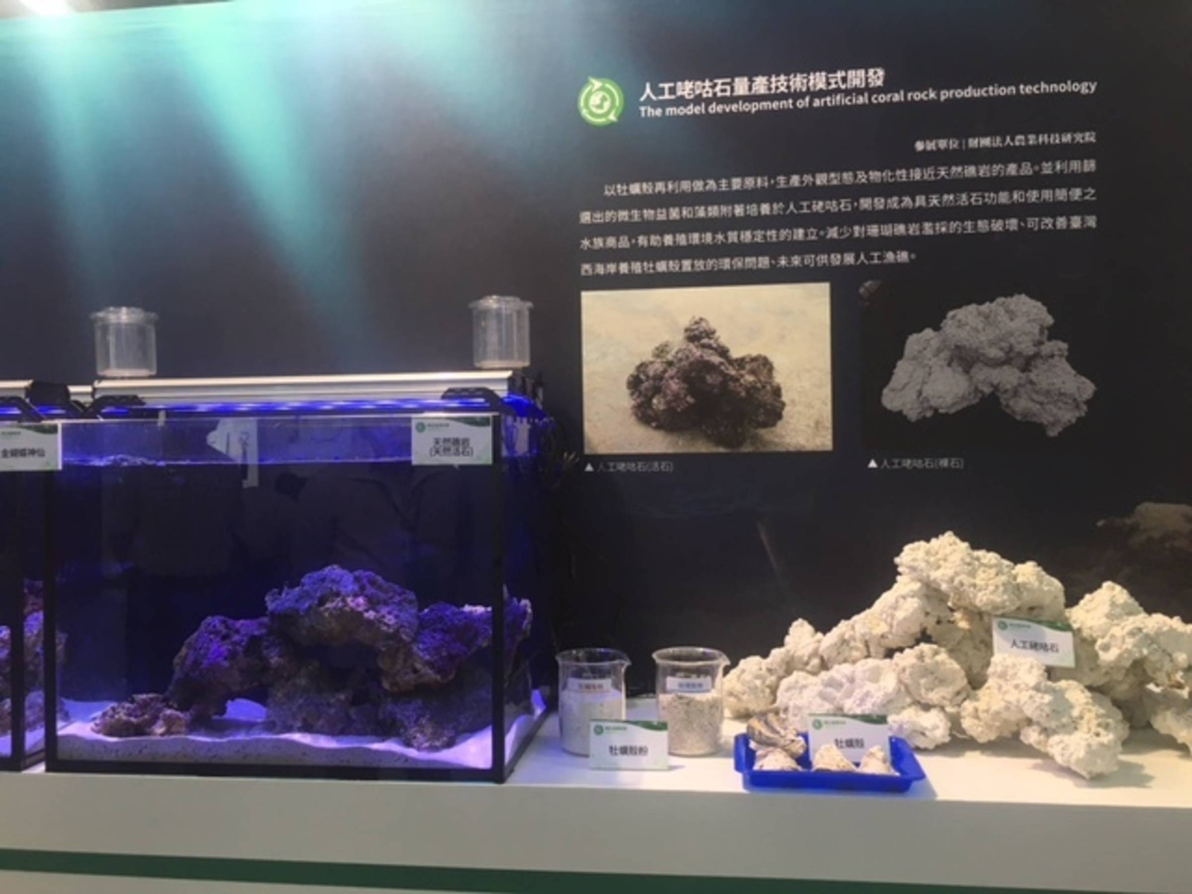 全球禁採活石水族產品價格日益高升廢棄牡蠣殼搖身一變成活石特性水族新產品 文教新聞 國立教育廣播電臺