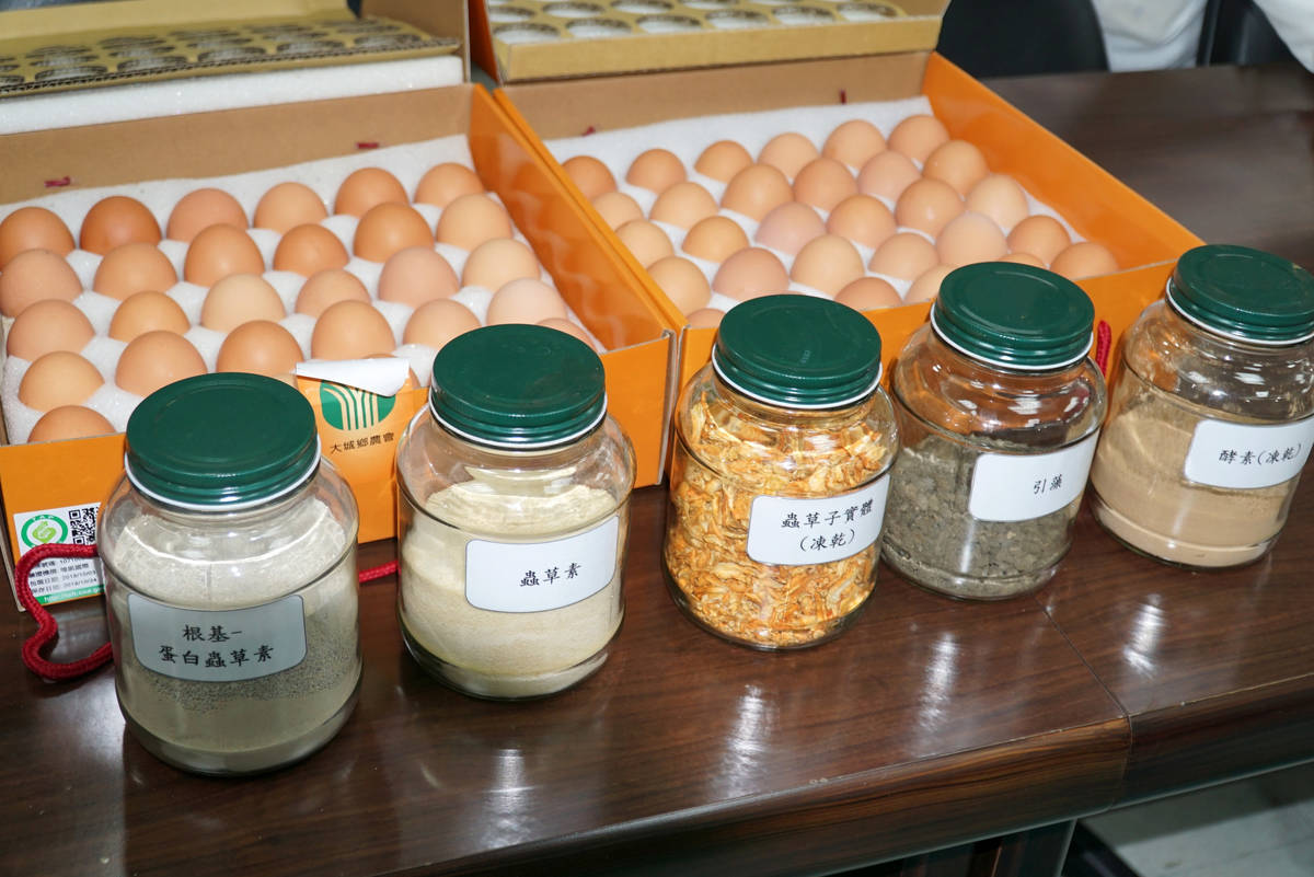 大葉大學、華立生技農場、大城鄉農會產學合作，開發具有蟲草素的黃金蟲草蛋