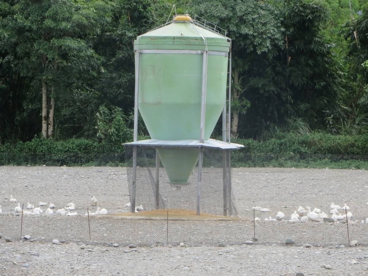 防鳥設施