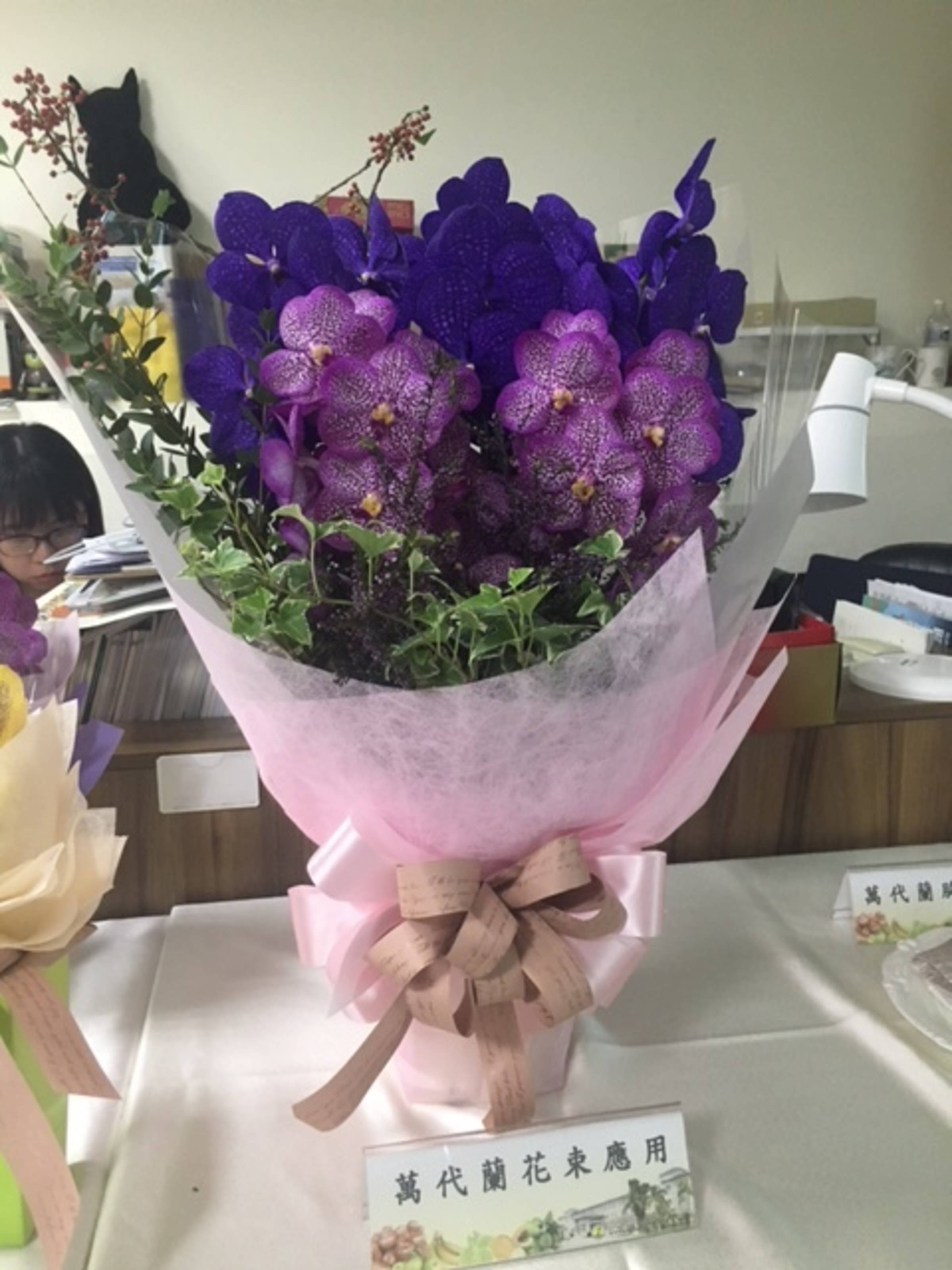 台灣萬代蘭切花在日本大獲好評農改場研發專屬保鮮液穩健外銷路 文教新聞 國立教育廣播電臺