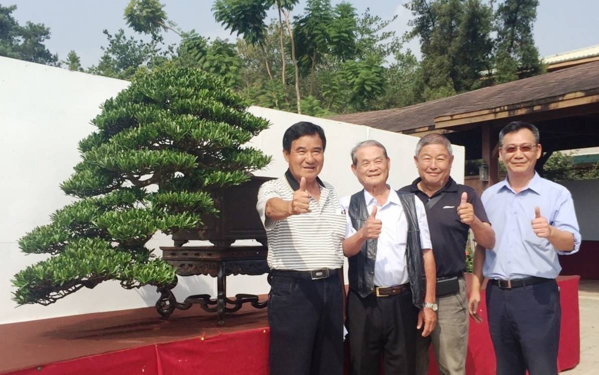 圖說 台中市樹石藝術協會舉辦會員特展，銘珠園特別展出珍藏的稀有懸崖羅漢松，協會顧問吳三朋(左起)、理事長林文山、總幹事張忠板、大益集團協理張清保等人邀請民眾一同入園賞藝。
