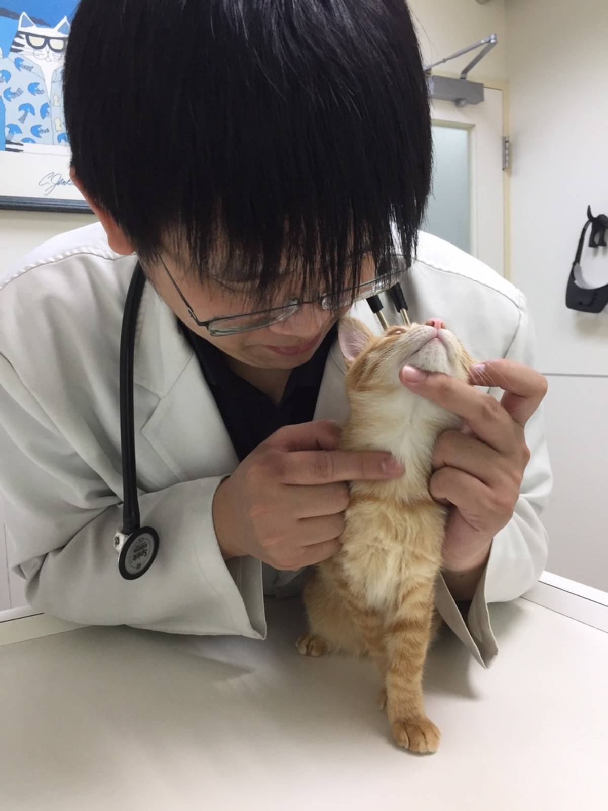 李柏儒醫師示範檢查甲狀腺