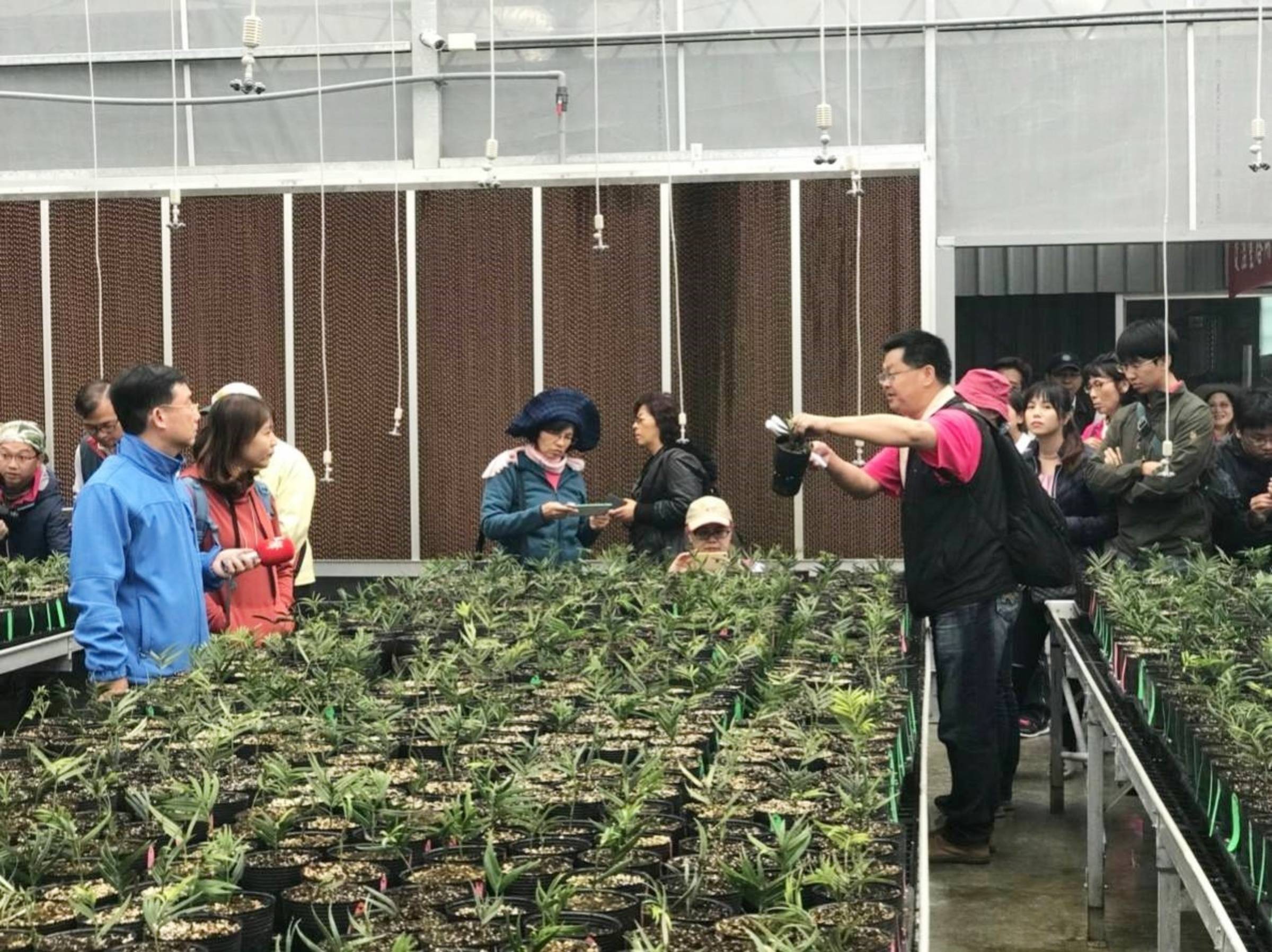 臺東龍泉苗圃新里程林管處打造復育珍稀植物環教場域 文教新聞 國立教育廣播電臺