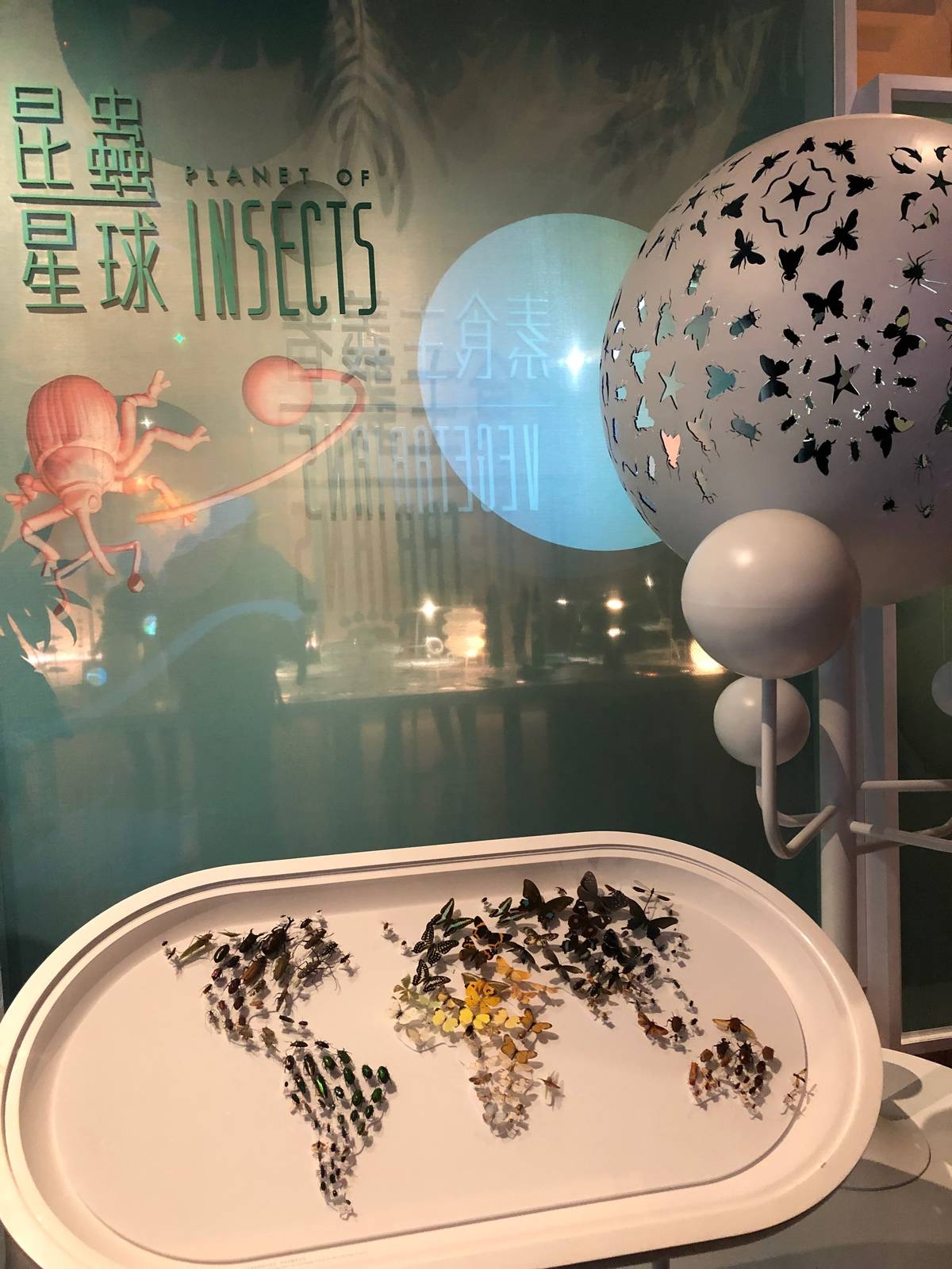 台博館昆蟲與植物的愛戀變奏曲特展