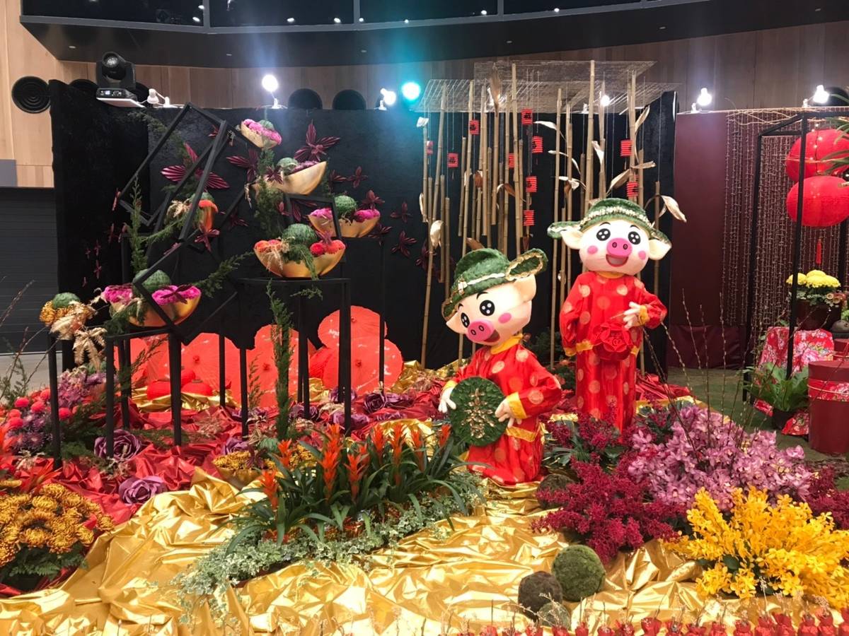 台中花博花舞館競賽廳 下一檔期「花卉裝置藝術設計大賽」2/22展出