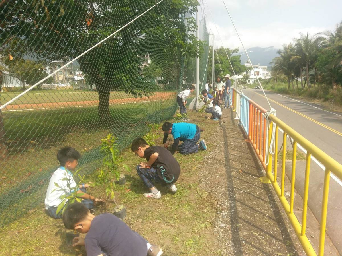 東海岸植樹最終場，成功國小師生種下有生命的圍籬。