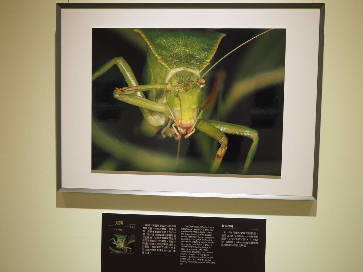 「科學攝影:自然與藝術之迷」特展展出的作品「哭哭」