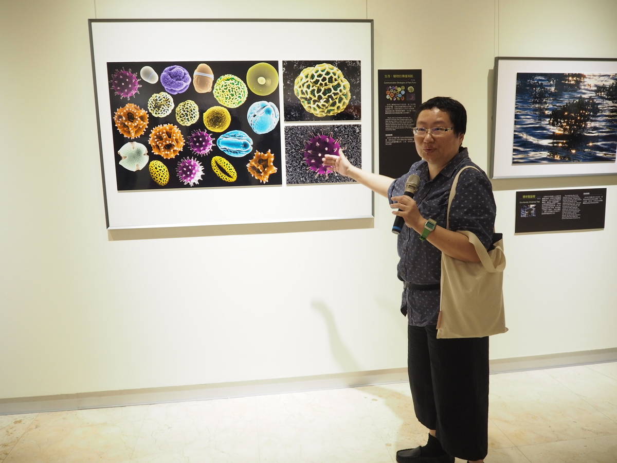 國立自然科學博物館研究員楊翎針對現場作品導覽實況