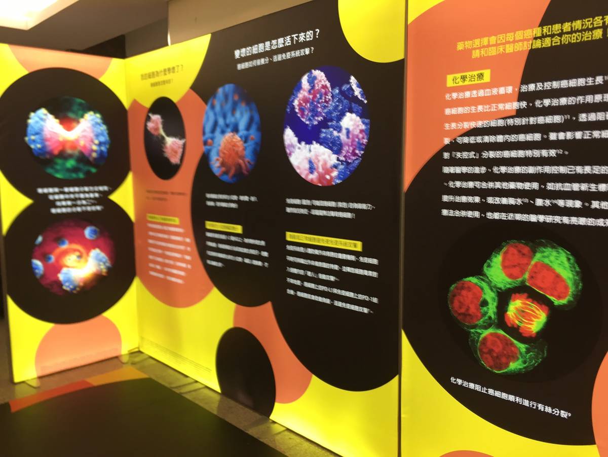 巧克力可以餓死癌細胞？「了解癌‧發現愛」科普展破除常見迷思!