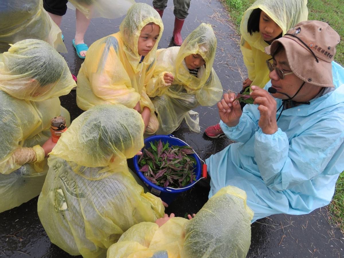 學生學習紅菜對身體的好處