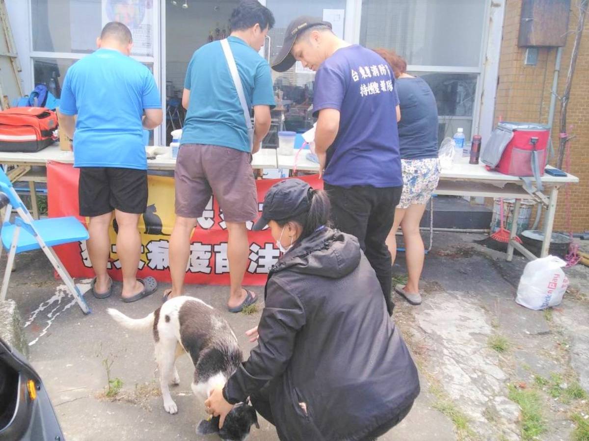 跨海為犬貓施打疫苗 蘭嶼民眾熱情響應