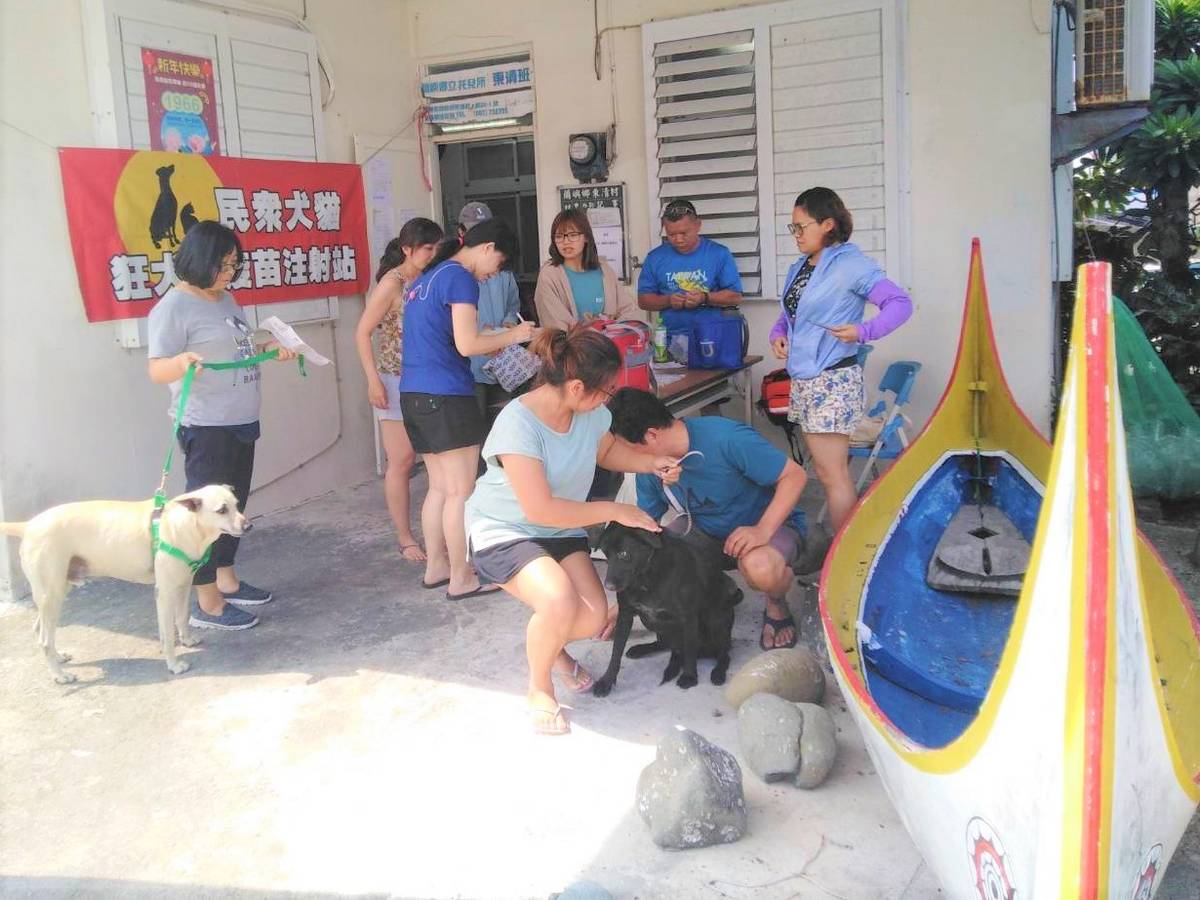 跨海為犬貓施打疫苗 蘭嶼民眾熱情響應