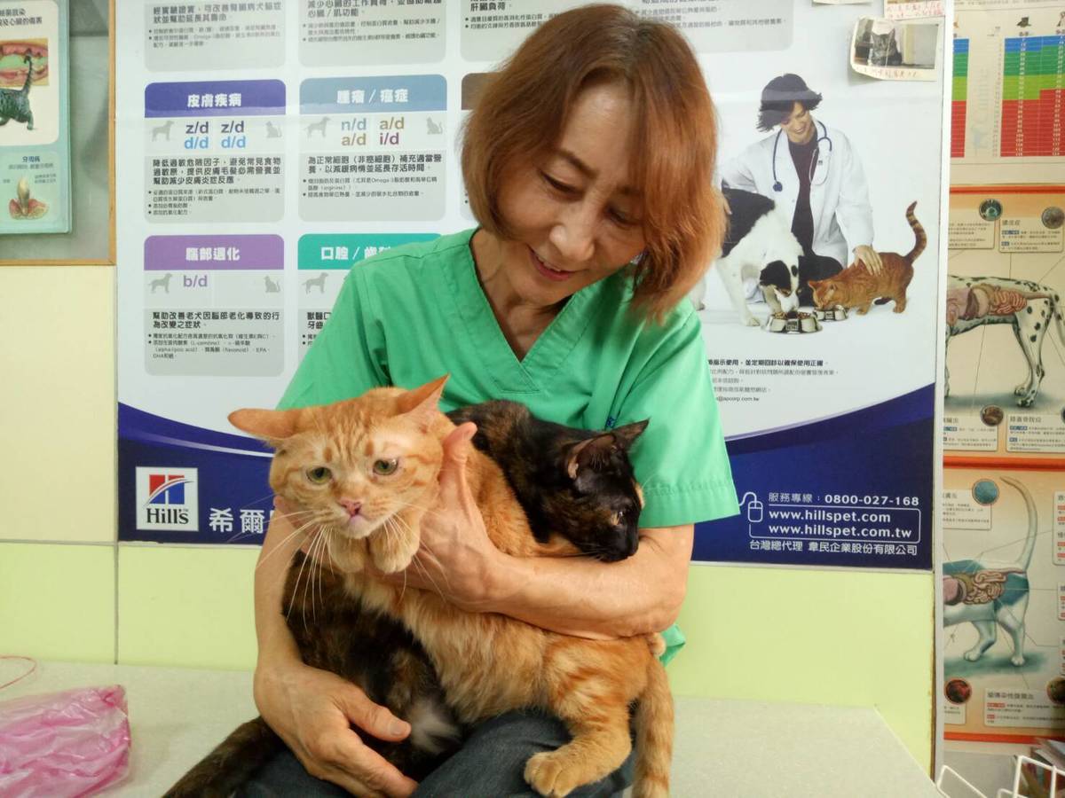西湖動物醫院的賀醫師很有愛心認養很多動物