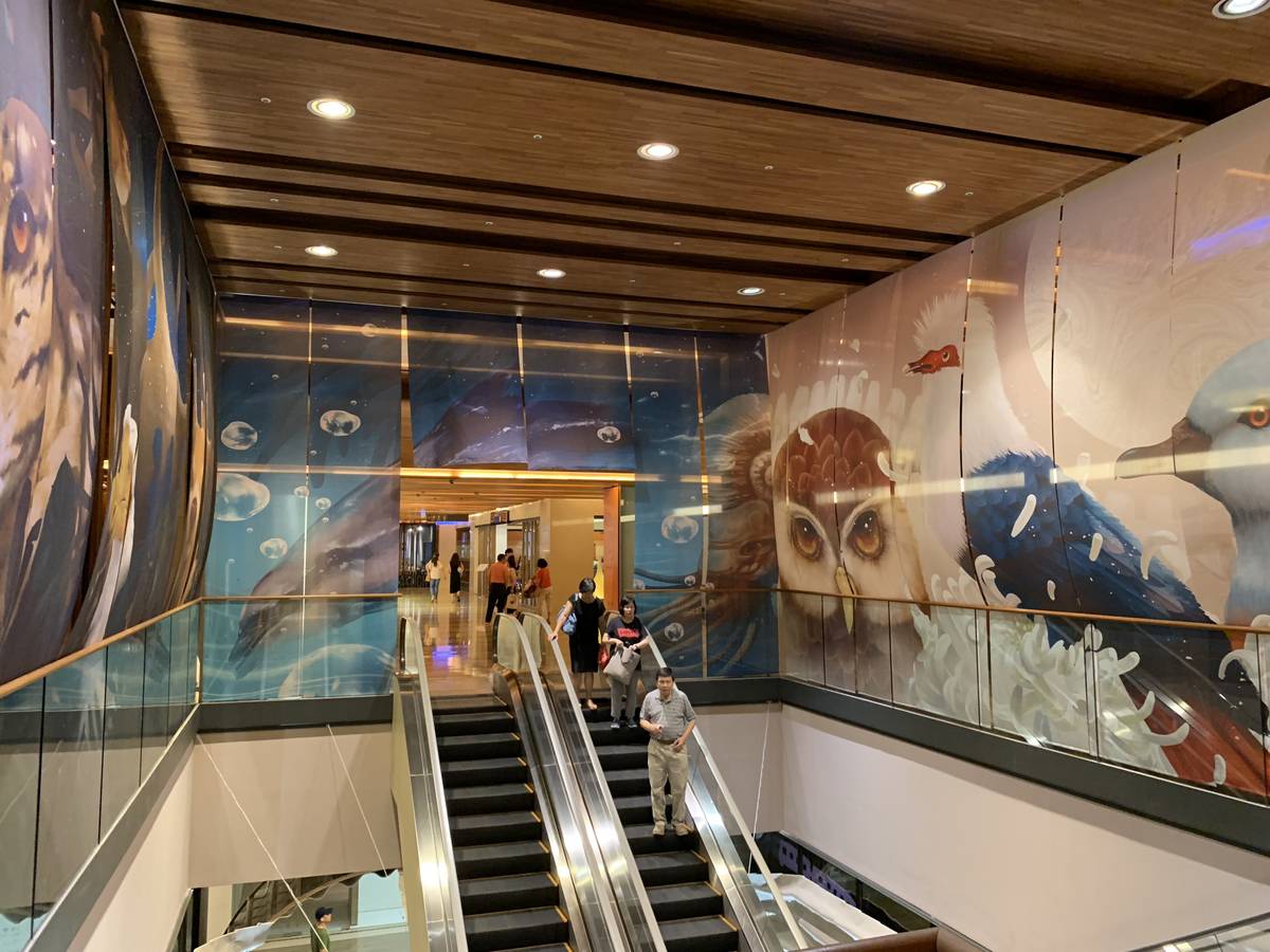 陳青琳的《越夢》表達關注瀕臨絕總動物議題