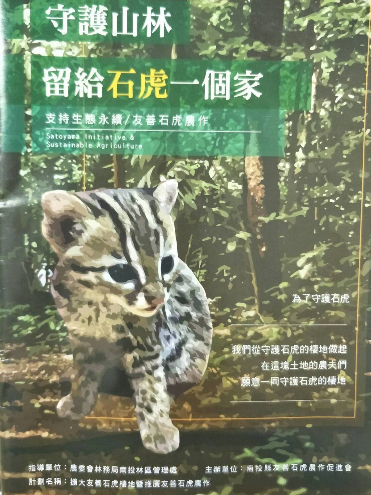 中寮石虎