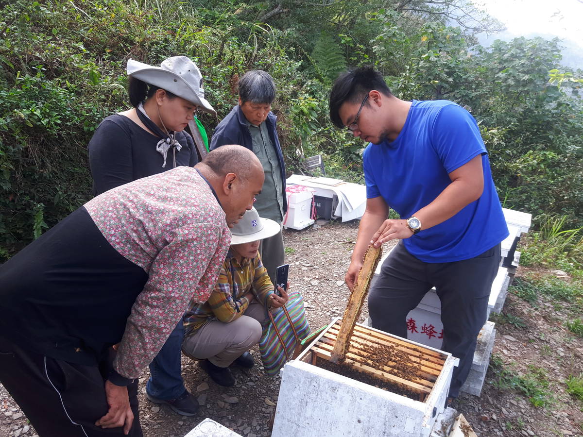 團隊輔導部落的原民學習養蜂及種植花蜜植物等技術，建構當地養蜂產業基礎。