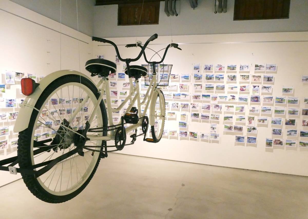池上穀倉藝術館推出最新一期展覽「雲影天光，我們騎過池上的綠與黃」。