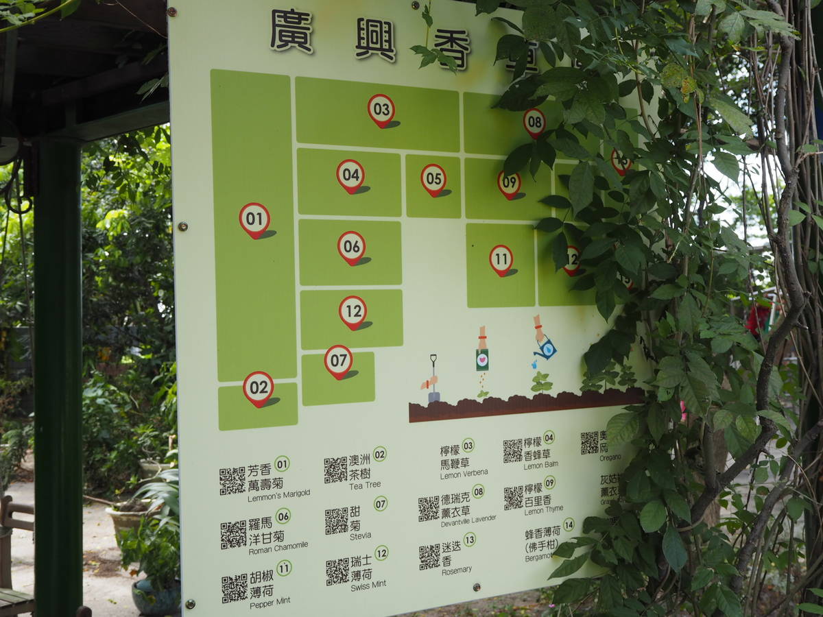 彰化縣二林鎮廣興國小的香草指示牌