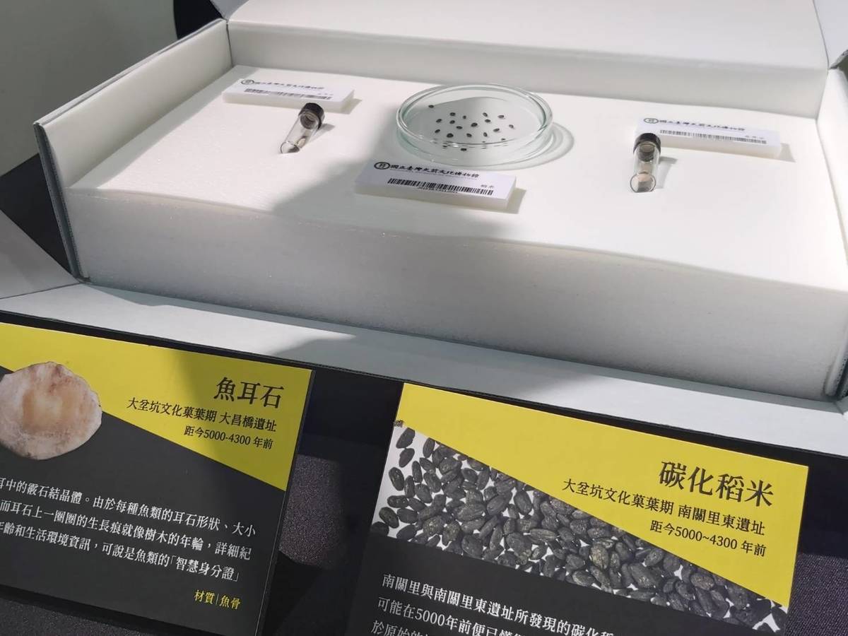 碳化稻米與魚耳石