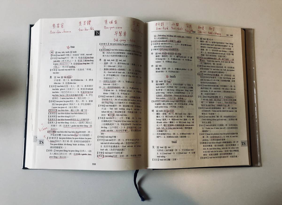 我用半年的時間完讀《實用台語詞典》。