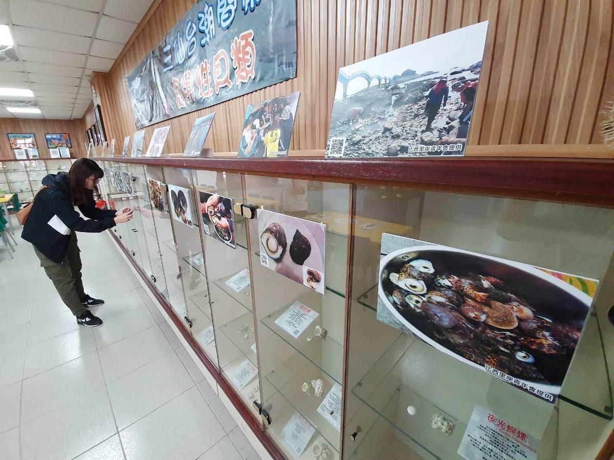 臺東縣自然史教育館推出「三仙台潮間帶食用性貝類」特展，除了認識三仙台附近潮間帶會出現的貝類，也了解當地居民的採集方式。
