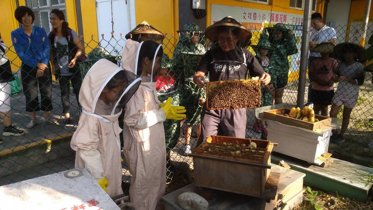 彰化文祥國小養蜂10萬餘 共籌畢旅經費 