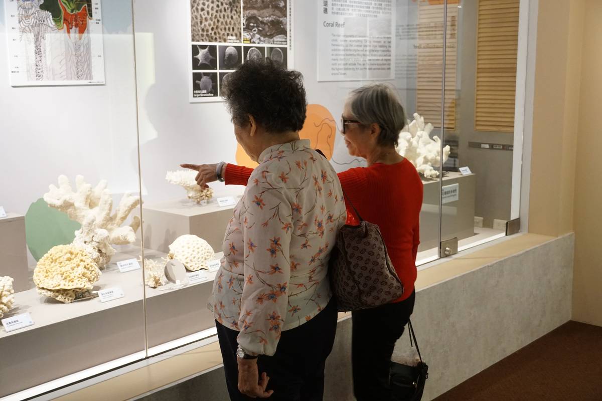 科博館「眾志成城」特展 帶你一窺造礁生物建構的亙古地景奇觀