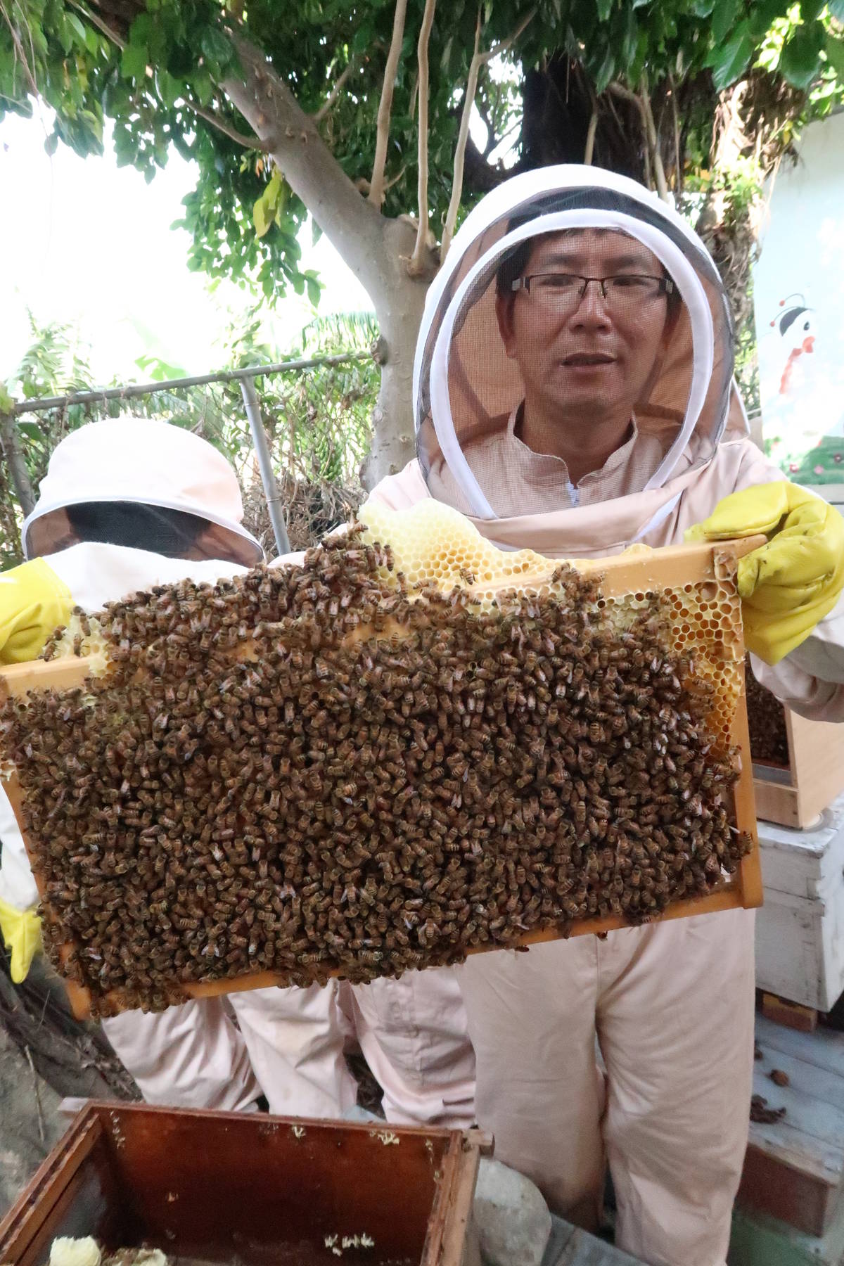 彰化文祥國小養蜂籌畢旅經費 也學會對生命與環境的尊重