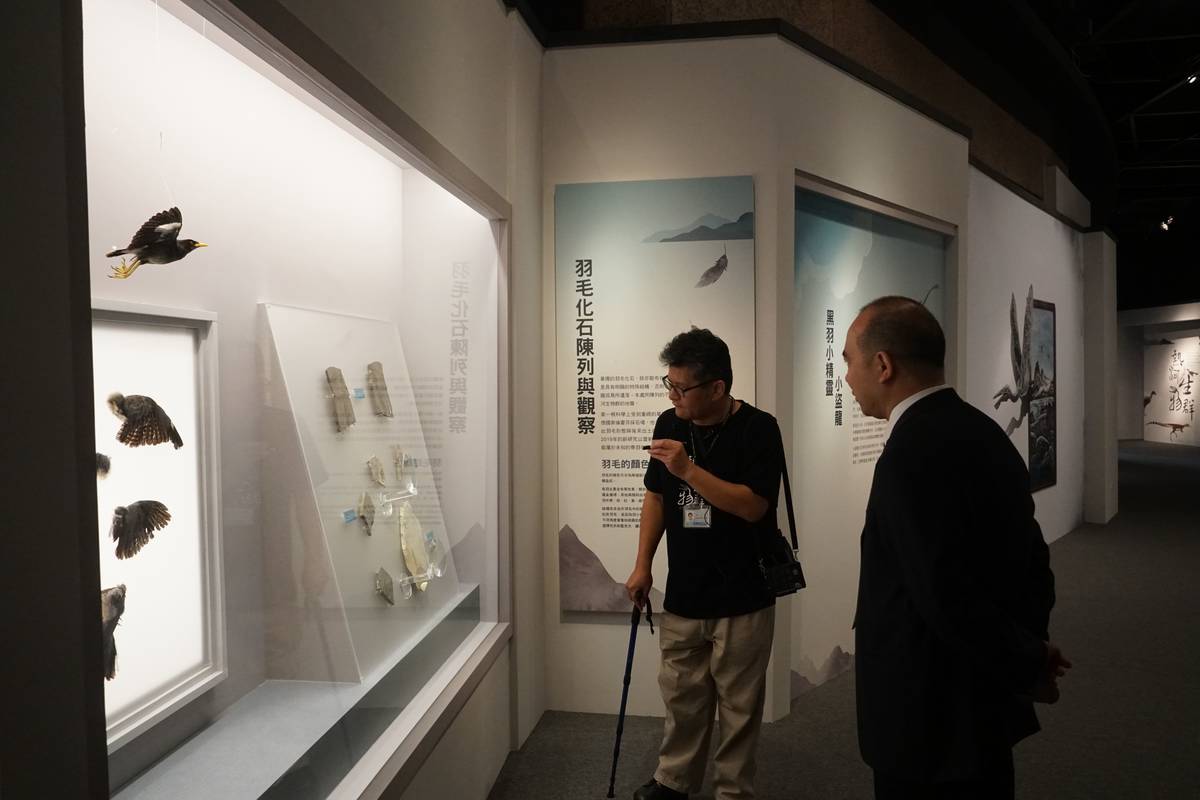 策展人楊中信博士導覽解說