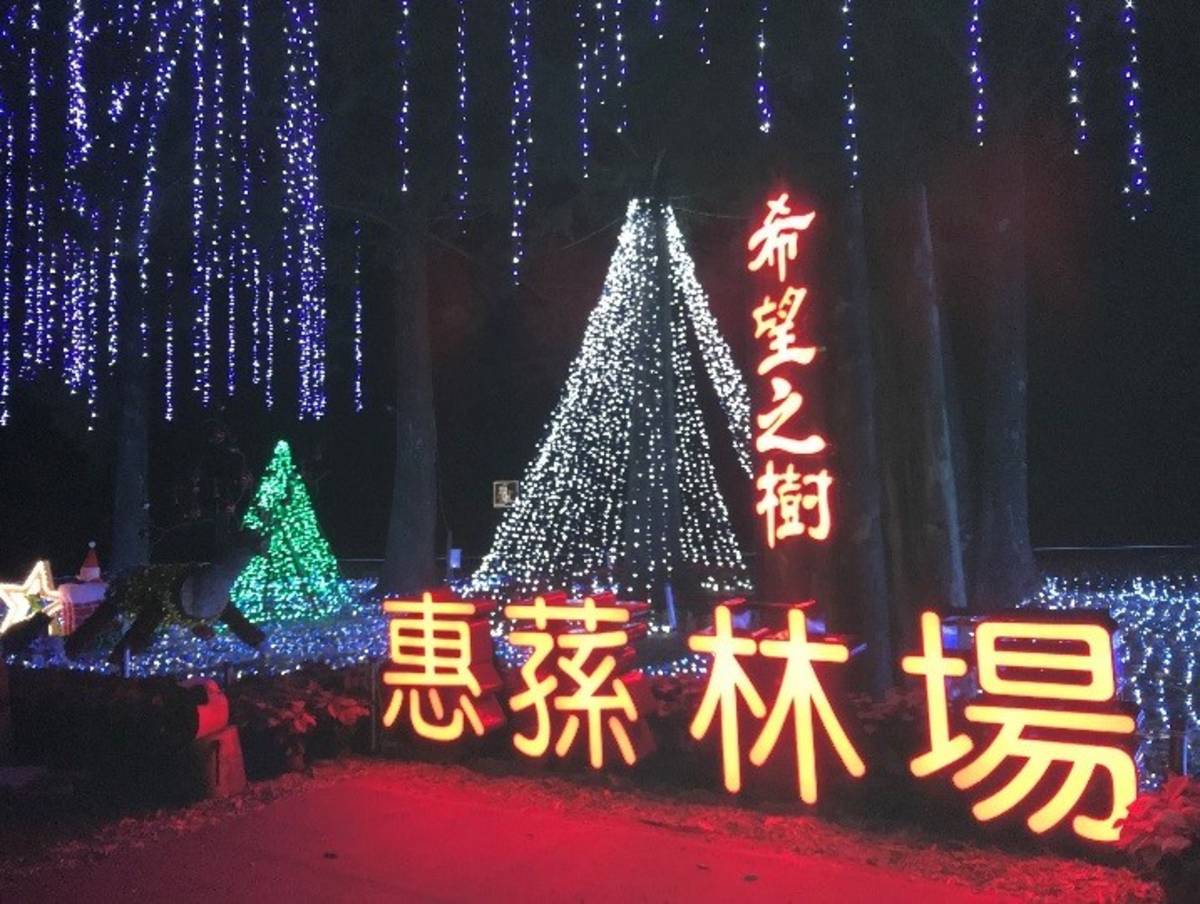 惠蓀林場希望之樹點燈