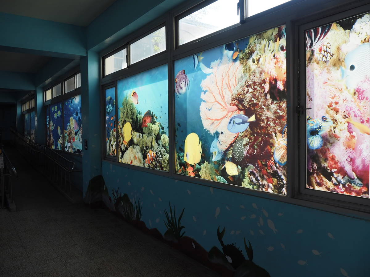 鹿港高中水族走廊的玻璃窗貼