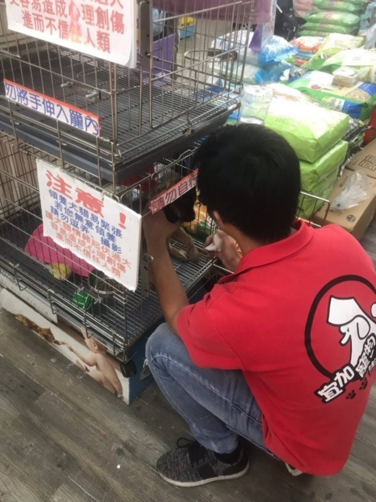 店員給予毛寶貝細心照料
