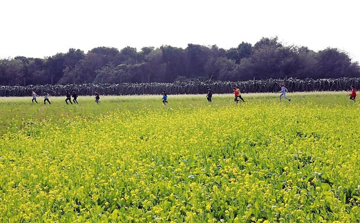 二林斗苑休閒農業區發展協會由在地農民商家組成，一起推動在地小旅行