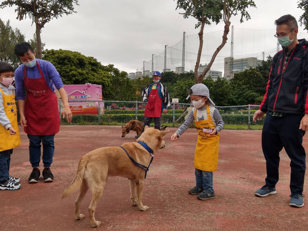 志工老師帶領動保小小兵體驗狗狗餵食