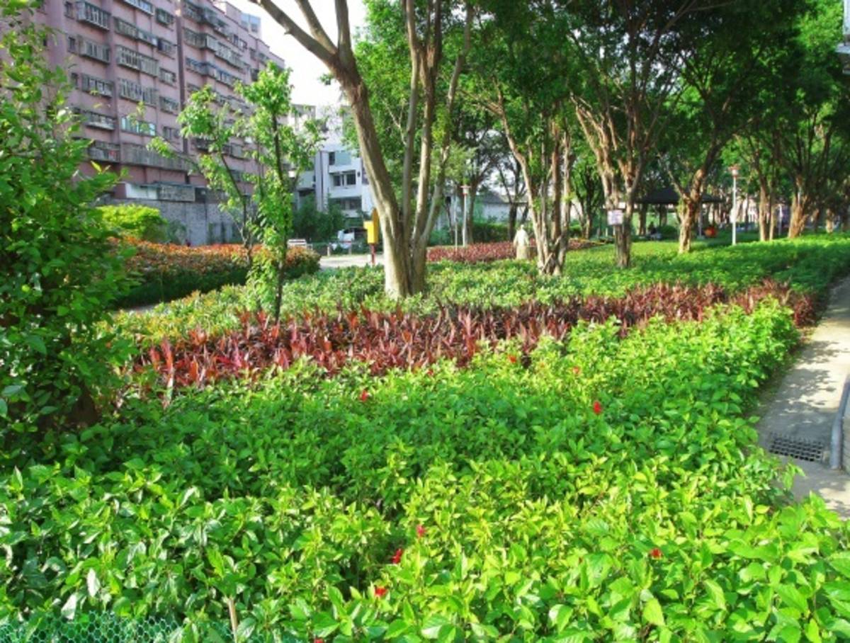 鶯歌區三號公園