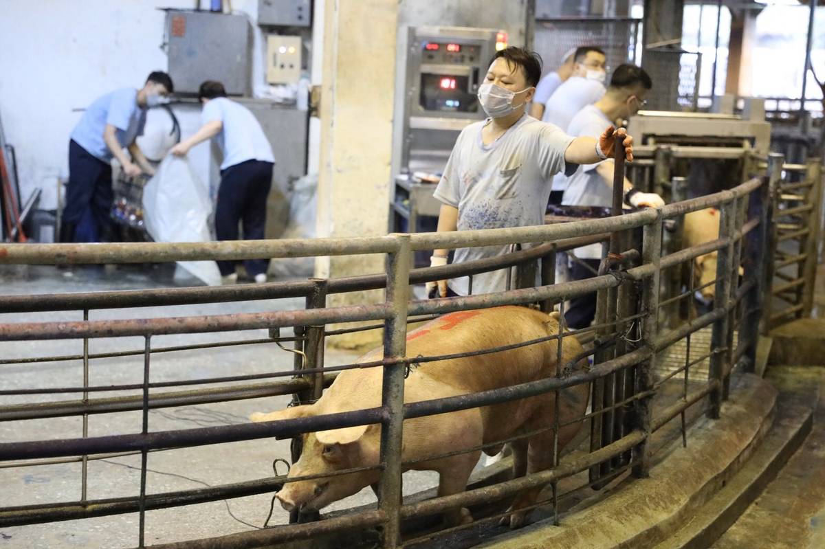肉品市場穩定供貨