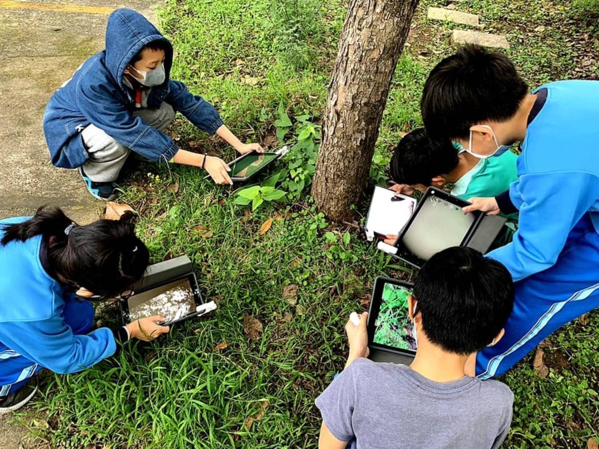 新北親師生平台與動物星球頻道聯手出擊提供有趣且富教育意涵的親子共學活動／圖由新北教育局提供