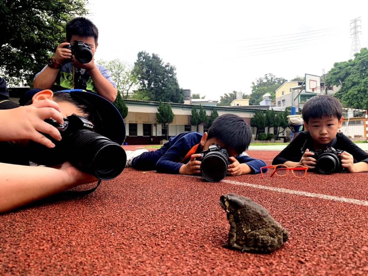 新北親師生平台與動物星球頻道聯手出擊提供有趣且富教育意涵的親子共學活動／圖由新北教育局提供