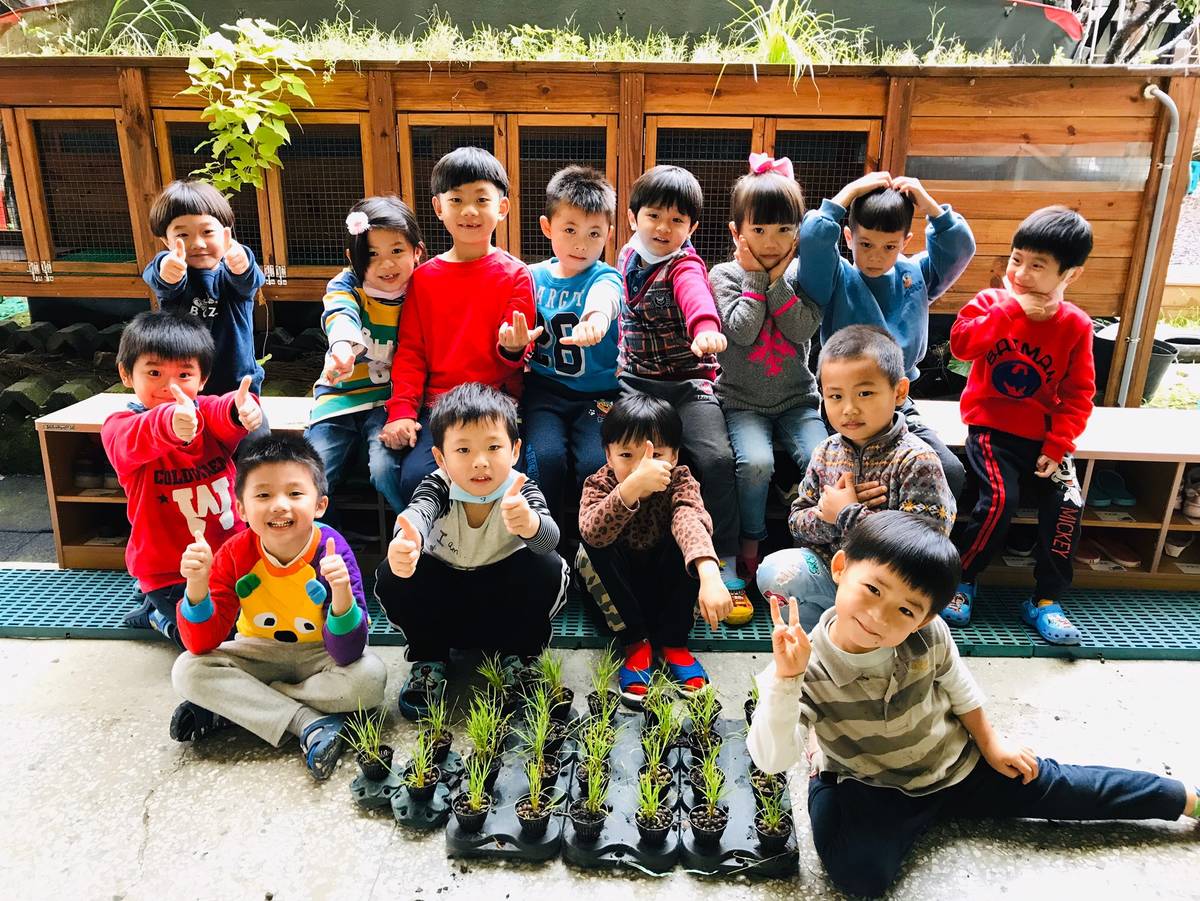 金美附幼白雲班插秧在魚菜共生板