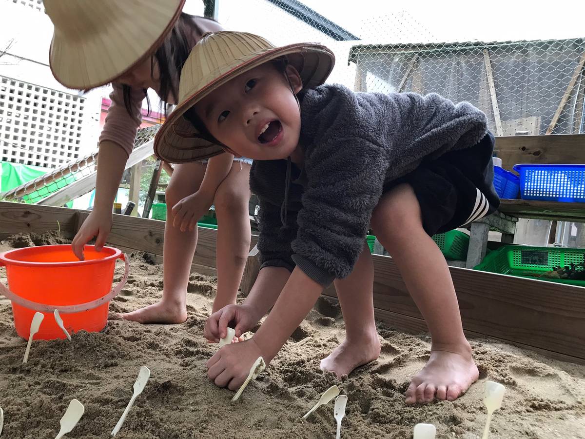 金美附幼白雲班改用湯匙代替秧苗插入沙坑