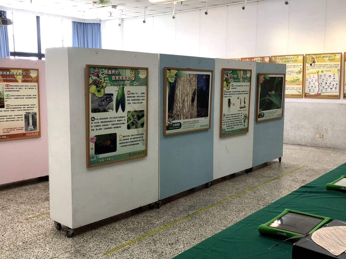 鳴蟲特展校園巡迴展展場