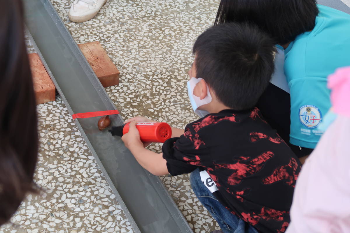 種子飄飄河 水力可以傳播種子