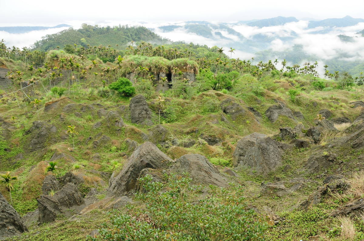 九份二山地區崩塌地(特生中心提供，何東輯攝)。
