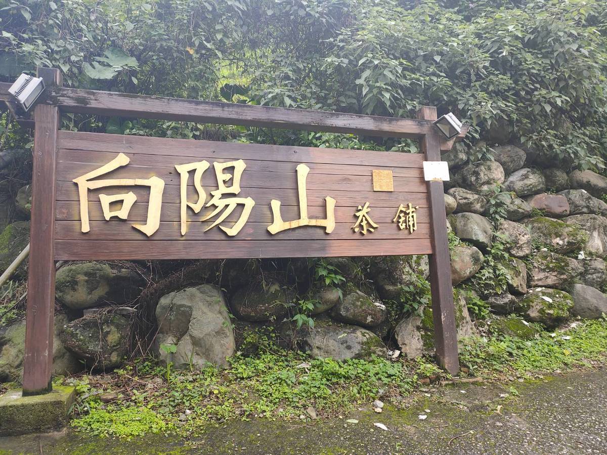 向陽山.jpg